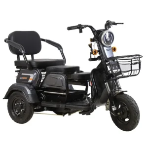 Electric 3-wheeled Lead Acid Battery 48v600w Adult Elderly Leisure Travel Small Household Mini Citycoco Scooter