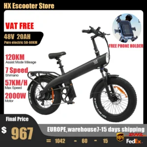 HX Q3 2000W Adult Electric Bike 48V 20Ah E Bike Removable Battery 115Nm Ebike 20*4.0 Inch Fat Tire All-Terrain Electric Bicycle